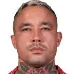 Radja Nainggolan