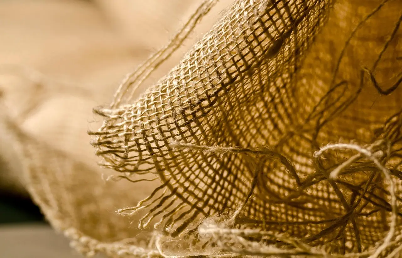 Bagside i krydsord løsningsforslag