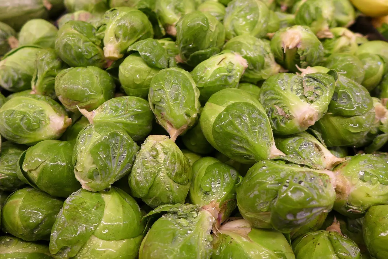 Hvordan er vejret i Bruxelles i marts måned?