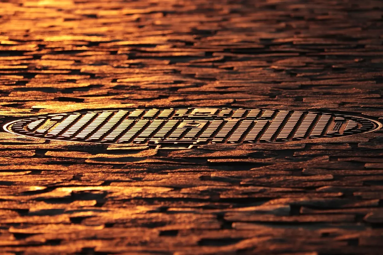 Hvordan er vejret i Belgien i uge 31?